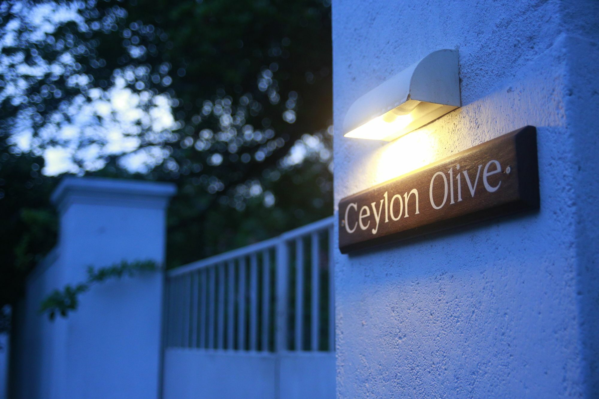 Ceylon Olive Galle Exteriör bild